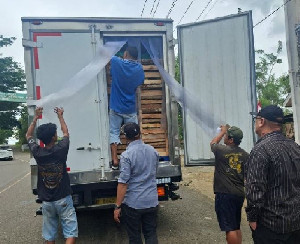 19,5 Ton Alpukat Hanya Bayar Retribusi 5 Ton, Bupati Bener Meriah: Kebocorannya Luar Biasa