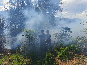 Satu Hektare Lahan Terbakar di Atu Lintang, Api Berhasil Dipadamkan