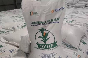 Jagung SPHP untuk Peternak Dilanjutkan hingga Akhir 2026