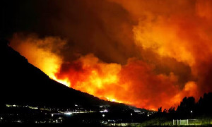 Eropa Membara! Kebakaran Hutan Kepung Prancis hingga Kroasia