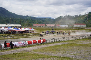 Wabup Aceh Tengah Minta Pacuan Kuda Gayo Bebas Judi dan Pungli