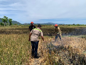 3 Hektare Sawah Pasca Panen Terbakar di Kayee Lee Aceh Besar