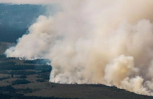 Kebakaran Hutan Belgia Makin Meluas, 600 Warga Dievakuasi dari Dekat Perbatasan Jerman