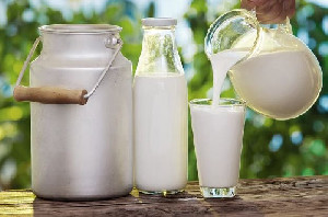 Kementan Genjot Swasembada Susu, Siapkan Kredit 0% hingga Tambah Impor Sapi Perah