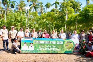 Sabang Manfaatkan Lahan Kosong untuk Padi Gogo, Target 40 Hektare Tahun 2026