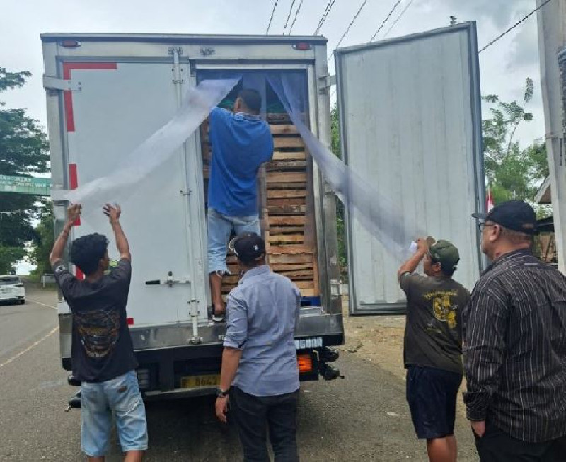 19,5 Ton Alpukat Hanya Bayar Retribusi 5 Ton, Bupati Bener Meriah: Kebocorannya Luar Biasa