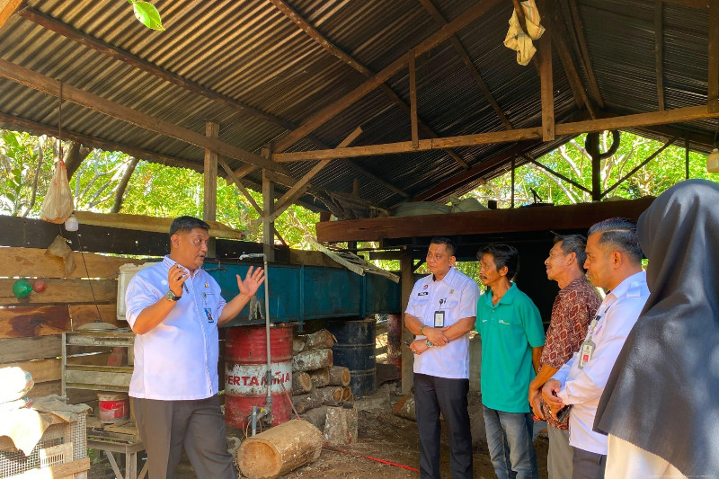 Minyak Nilam Aceh Dilindungi Indikasi Geografis, Petani Harap Harga Stabil