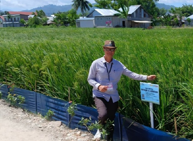 Pemkab Nagan Raya Ajukan Rehabilitasi 129 Hektare Sawah Rusak Pascabencana ke Kementan