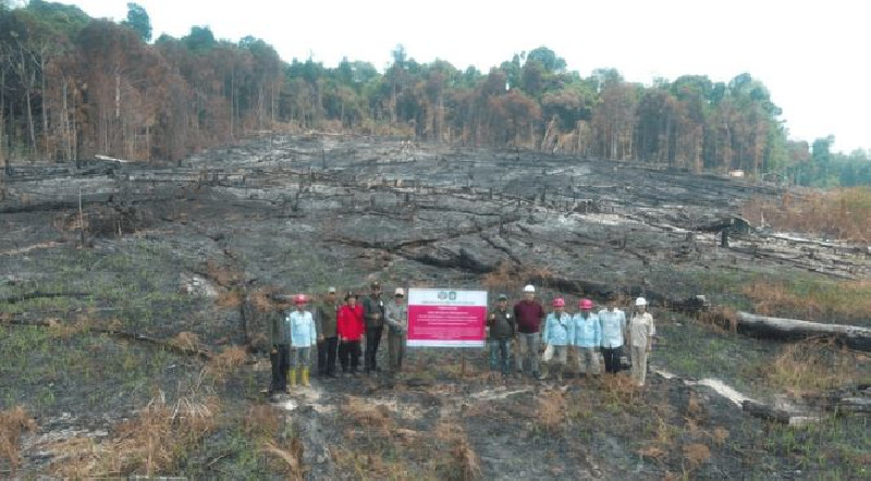 Karhutla 1.511 Hektare, Kemenhut Sanksi 6 Perusahaan di Kalimantan