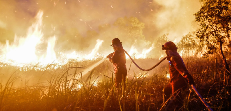 BPBD Gayo Lues Imbau Warga Waspadai Kebakaran Hutan dan Lahan