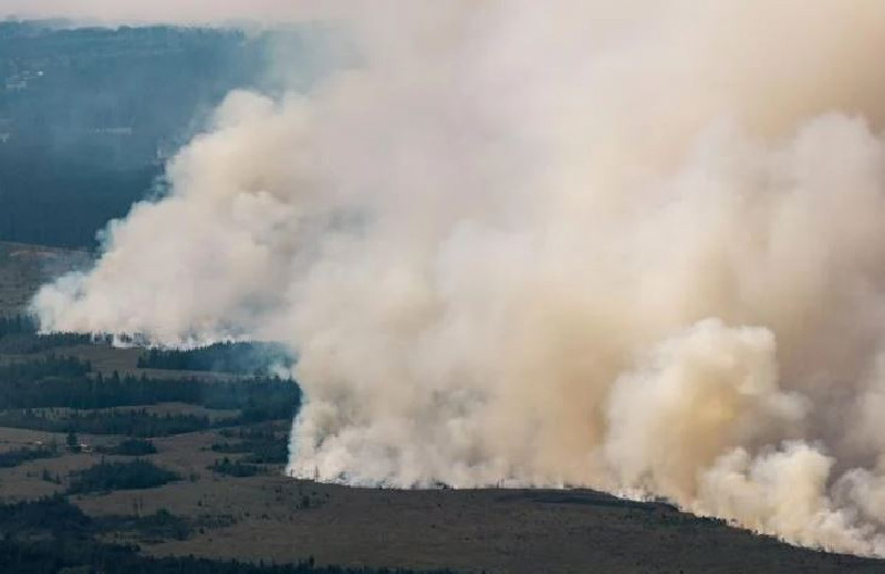 Kebakaran Hutan Belgia Makin Meluas, 600 Warga Dievakuasi dari Dekat Perbatasan Jerman