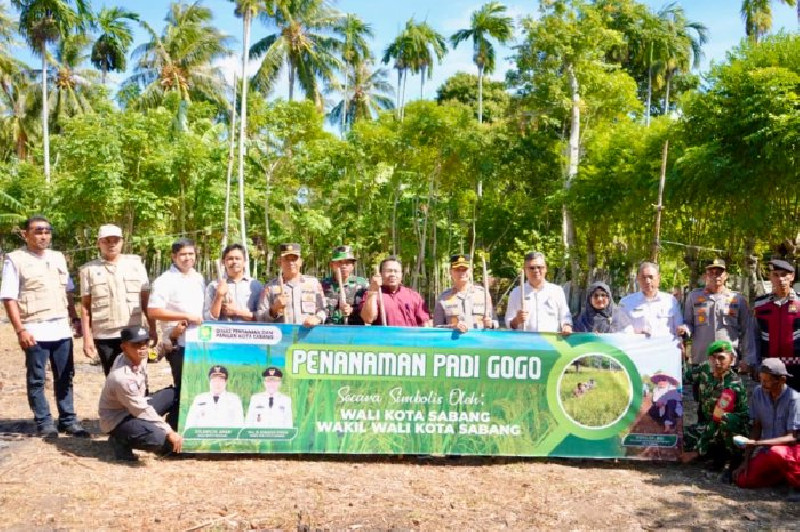 Sabang Manfaatkan Lahan Kosong untuk Padi Gogo, Target 40 Hektare Tahun 2026