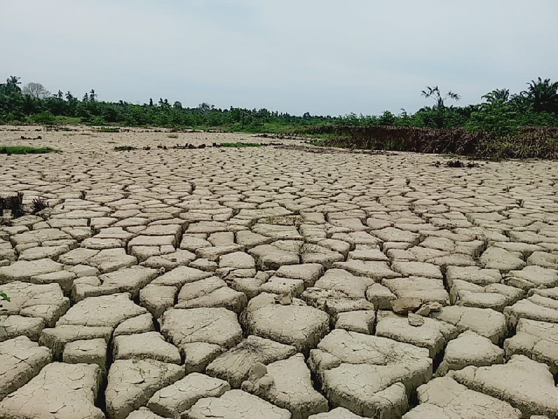 Stafsus Gubernur Terima Aduan Sawah Rusak Pascabencana di Aceh