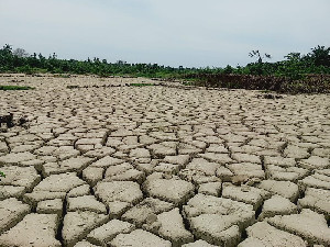 Stafsus Gubernur Terima Aduan Sawah Rusak Pascabencana di Aceh
