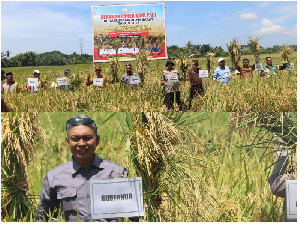 Distanbun Aceh Optimistis 40.852 Hektare Sawah Rusak Ditarget Pulih Sepanjang 2026