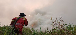 592 Hotspot Karhutla Terdeteksi, Kalteng dan Kalbar Turun Drastis, Riau Masih Nihil