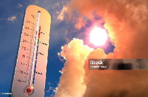 Karhutla Mengancam, Pemerintah Panggil 358 Perusahaan