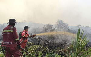 Hotspot Karhutla Naik Jadi 331 Titik, Kalimantan Selatan dan Sumsel Jadi Sorotan
