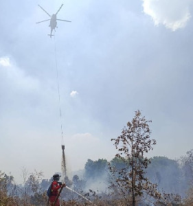 Karhutla Masih Mengancam: 1.037 Hotspot Terdeteksi, Sumsel Tertinggi Kedua