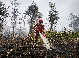 Karhutla Menguat, 559 Hotspot Terdeteksi: Kalimantan Tengah Capai 134 Titi