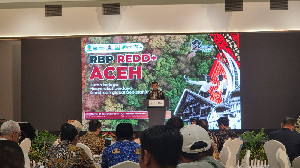 Aceh Mulai Jalankan Program RBP REDD+ untuk Perkuat Perlindungan Hutan dan Biodiversitas