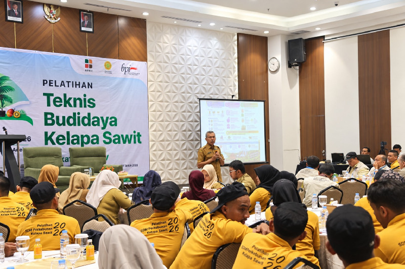 Plt Kadistanbun Aceh Dorong Pekebun Sawit Naik Kelas