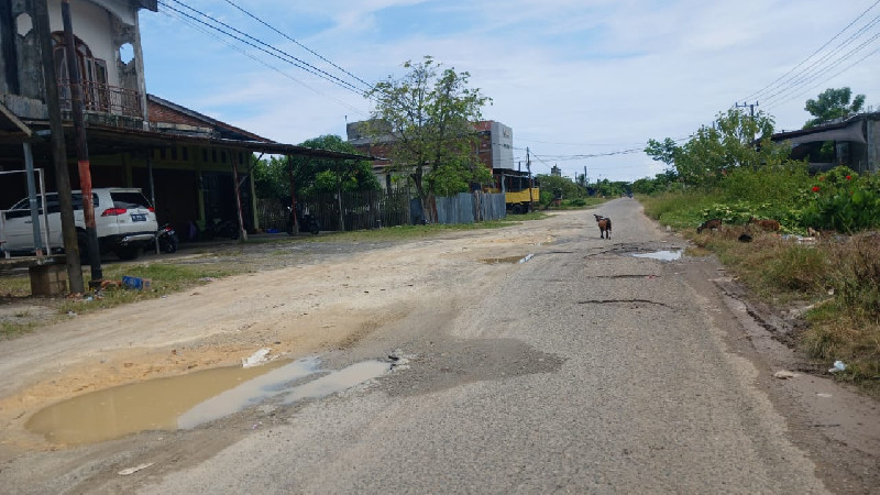 Jalan Lama Banda Aceh-Meulaboh di Lamno Rusak Parah, Warga Khawatir Kecelakaan