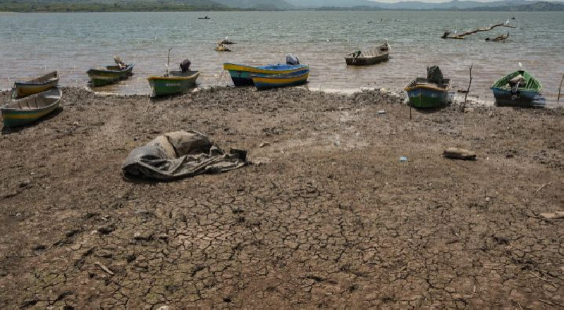 El Nino Menguat hingga 2027, PBB Peringatkan Banjir dan Kekeringan Ekstrem