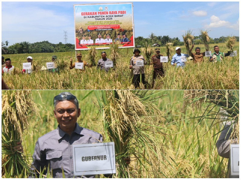 Distanbun Aceh Optimistis 40.852 Hektare Sawah Rusak Ditarget Pulih Sepanjang 2026