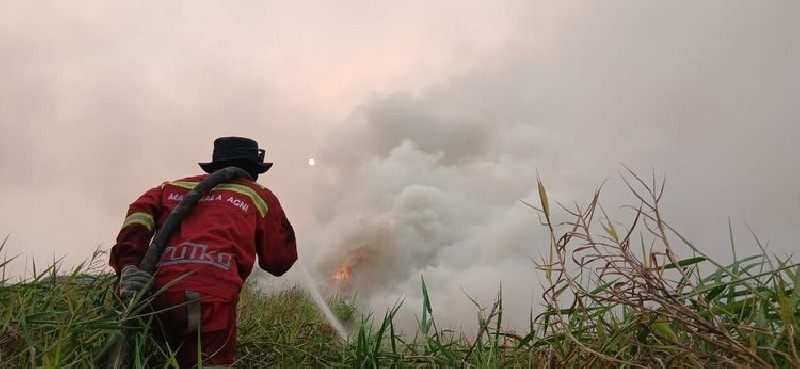 592 Hotspot Karhutla Terdeteksi, Kalteng dan Kalbar Turun Drastis, Riau Masih Nihil
