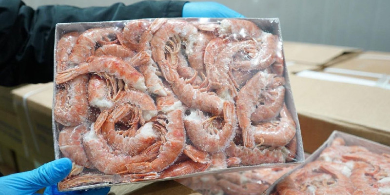 KKP Amankan 1.048 Ton Udang Impor di Jatim, Potensi Kerugian Rp405,8 Miliar