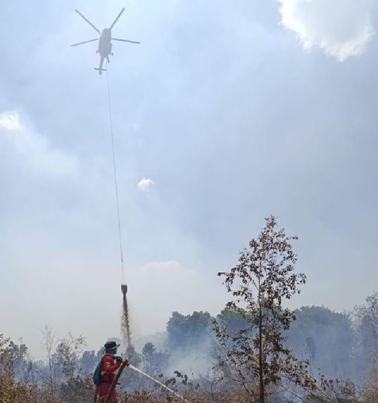 Karhutla Masih Mengancam: 1.037 Hotspot Terdeteksi, Sumsel Tertinggi Kedua