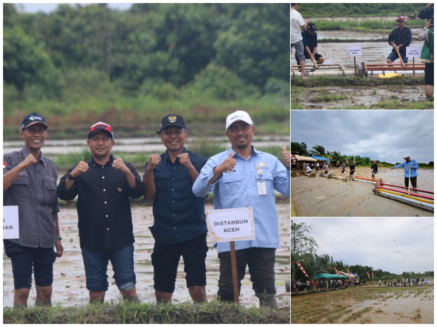 Tanam Padi di Aceh Jaya Pakai Teknologi PMAAS, Ditargetkan Tembus 10 Ton per Hektare