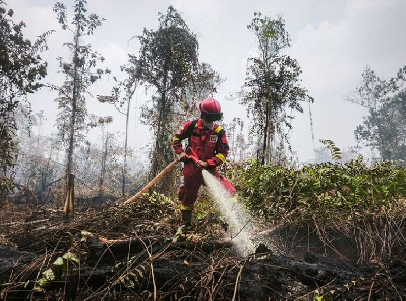 Karhutla Menguat, 559 Hotspot Terdeteksi: Kalimantan Tengah Capai 134 Titi