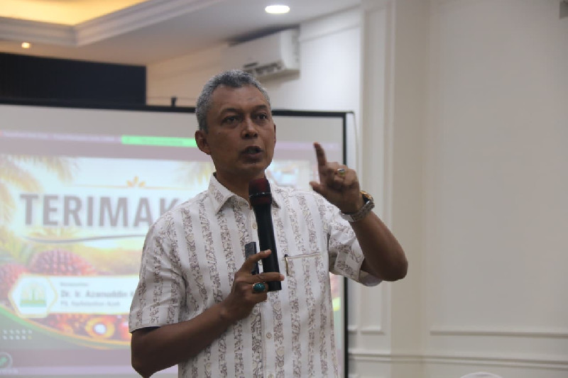 Batang Sawit Tak Lagi Jadi Limbah, Distanbun Aceh Ungkap Potensi Cuan hingga Rp200 Juta