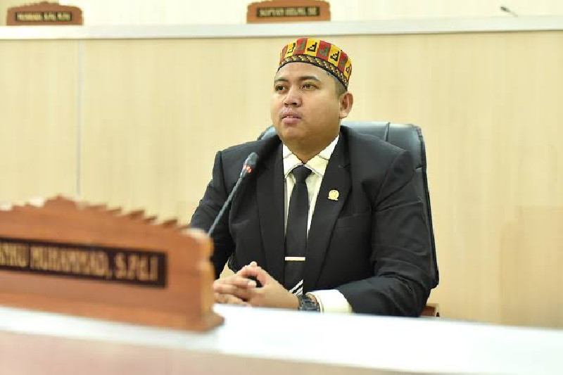 Antrean Truk Solar Subsidi Mengular, Tuanku Muhammad Desak Aturan Khusus SPBU Tengah Kota