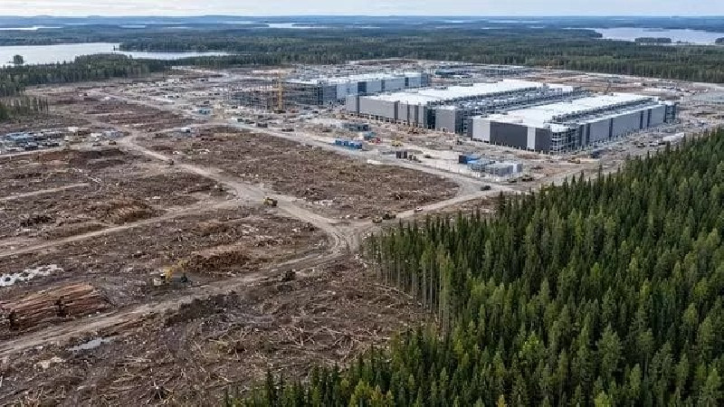 Babat Hutan untuk Pusat Data, Anak Usaha Google Diselidiki di Finlandia