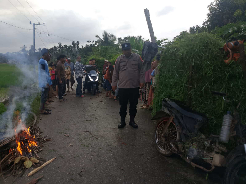 Tragis! Petani di Aceh Utara Meninggal Tertimpa Patahan Pohon Kelapa