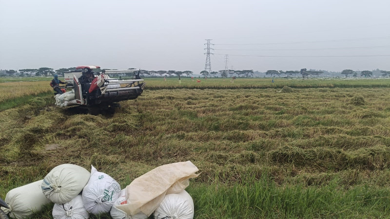85 Hektare Sawah di Aceh Utara Kembali Produktif Usai Satgas PRR Pulihkan Irigasi
