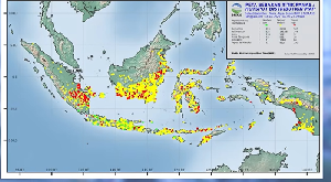 El Nino Sangat Kuat dan Indian Ocean Dipole Positif Picu Kondisi Kering di Indonesia