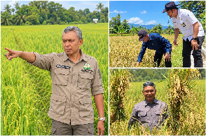 Azanuddin: Ribuan Hektare Sawah Terdampak Bencana Mulai Pulih