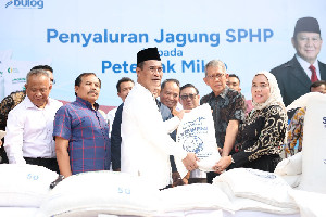 4 Juta Peternak Dukung Hilirisasi, Pemerintah Siapkan Industri Tepung Telur