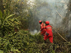 Karhutla Meluas, 1.359 Hotspot Terdeteksi, Kalteng Tertinggi