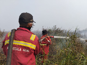 Hotspot Karhutla Turun Jadi 527 Titik, Kemenhut Tetap Siagakan Operasi Darat dan Udara