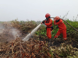 372 Hotspot Karhutla Terdeteksi, Kalteng dan Sumsel Jadi Perhatian