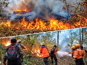 Titik Panas Nasional Turun, Kalimantan Tengah Justru Kembali Melonjak