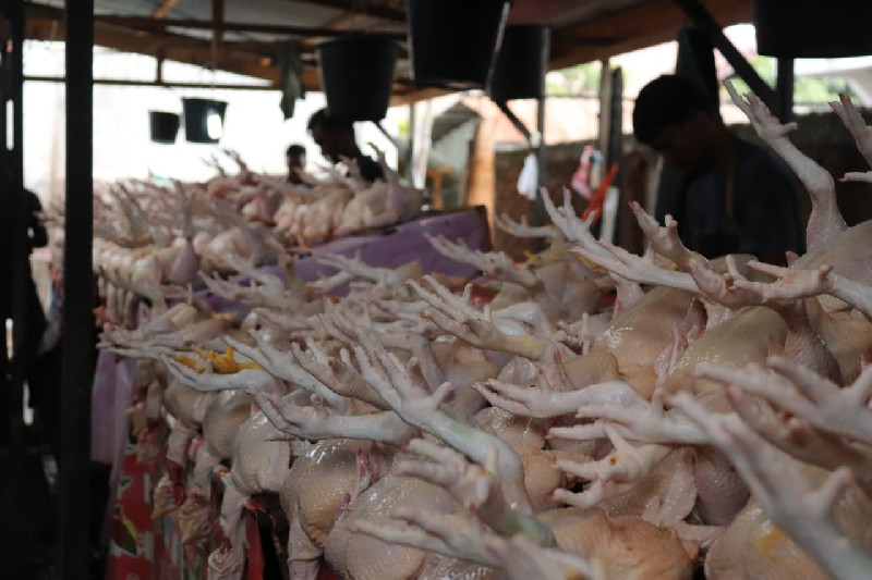 Harga Daging Ayam Ras Naik di Sejumlah Daerah, Bapanas Siapkan Subsidi Angkut