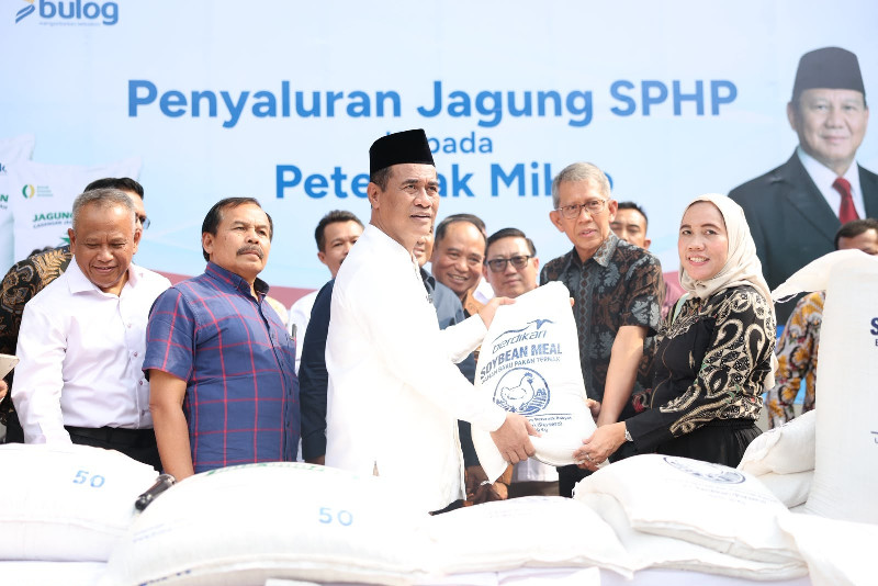 4 Juta Peternak Dukung Hilirisasi, Pemerintah Siapkan Industri Tepung Telur