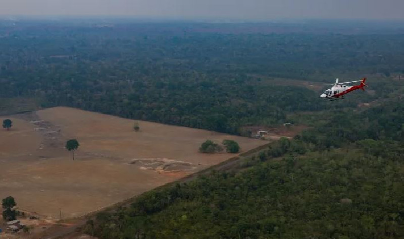 Deforestasi Amazon Brasil Turun 42 Persen, Terendah Sejak 1988