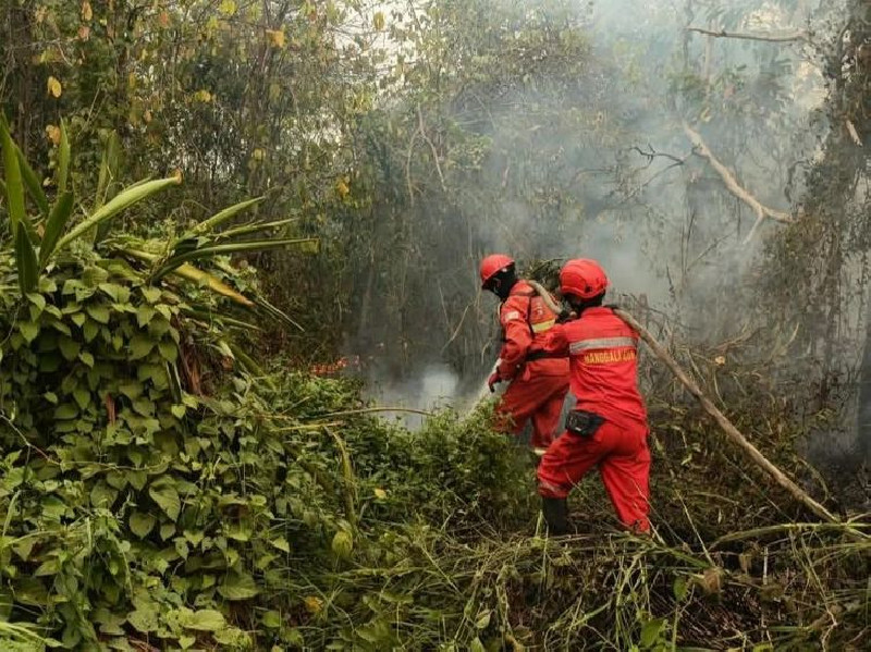Karhutla Meluas, 1.359 Hotspot Terdeteksi, Kalteng Tertinggi